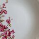 Flat earthenware plates with gilded edges