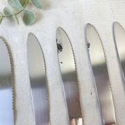 6 vintage Bakelite ivory knives France