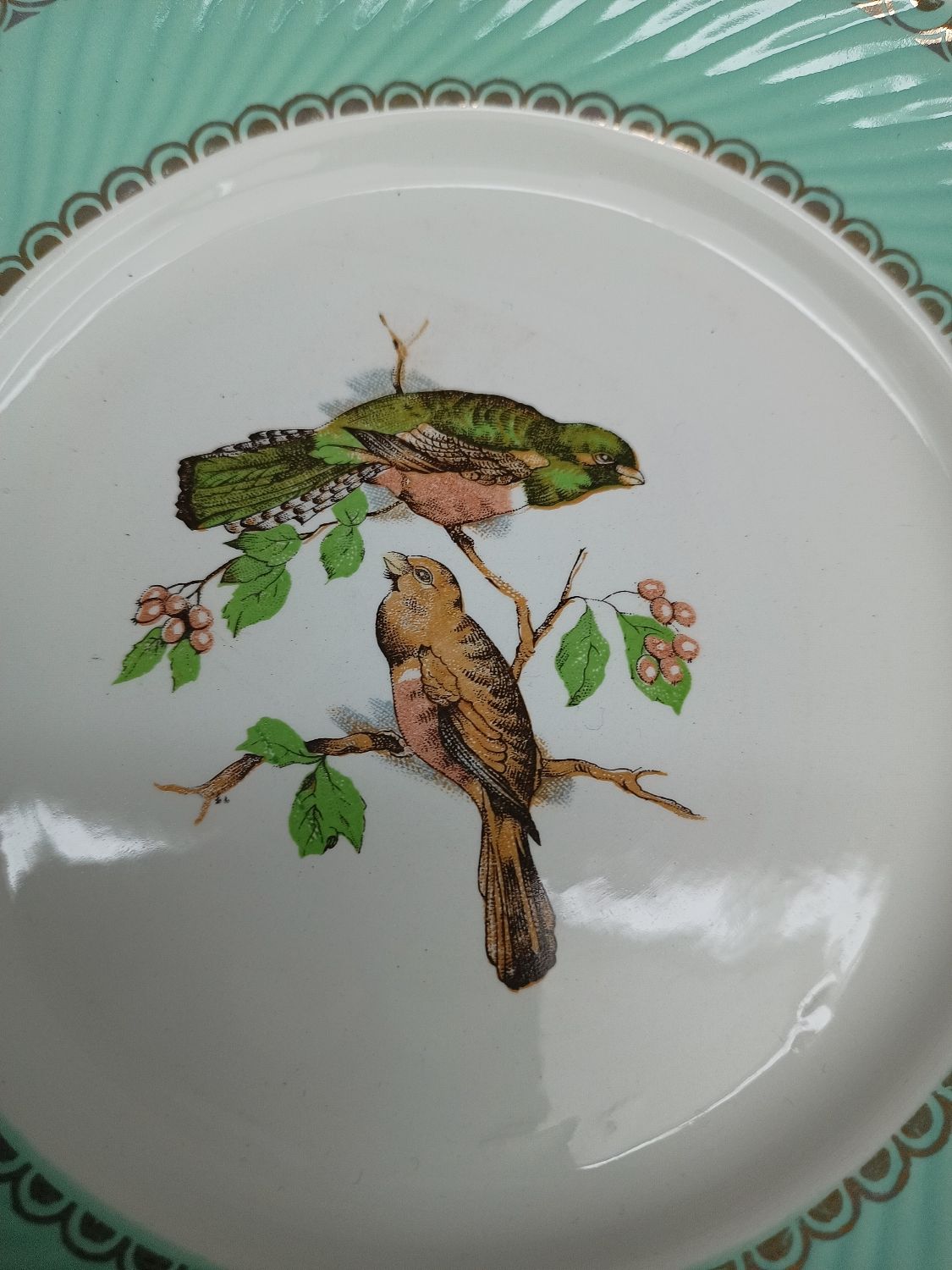 Lot 1 large oval dish and 3 bird plates Green background