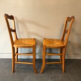 6 old chairs in cherry tree