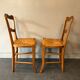 6 old chairs in cherry tree