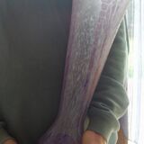 Vase 48 cm décor de papyrus le verre français - charder - schneider