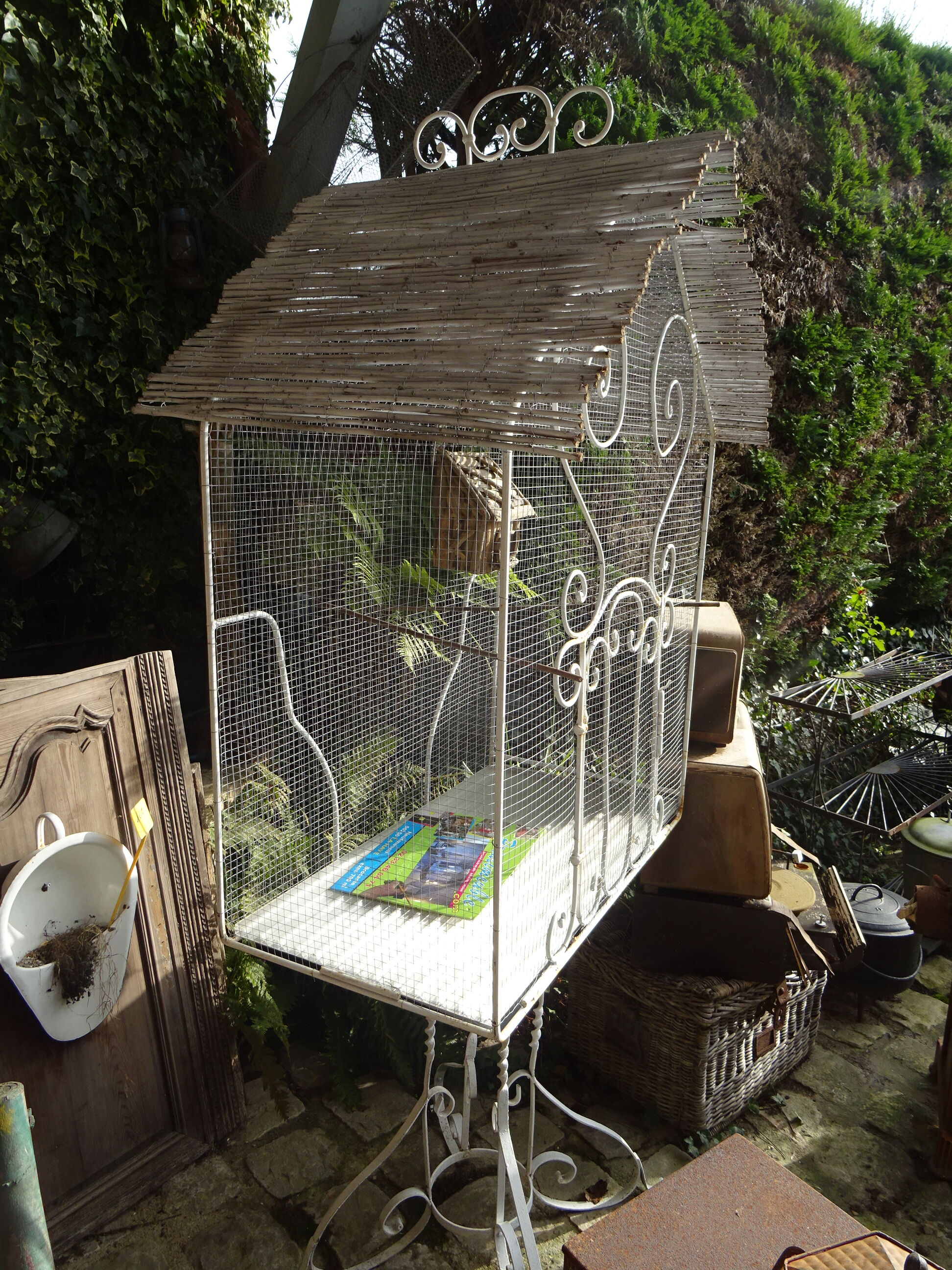 Birdcage