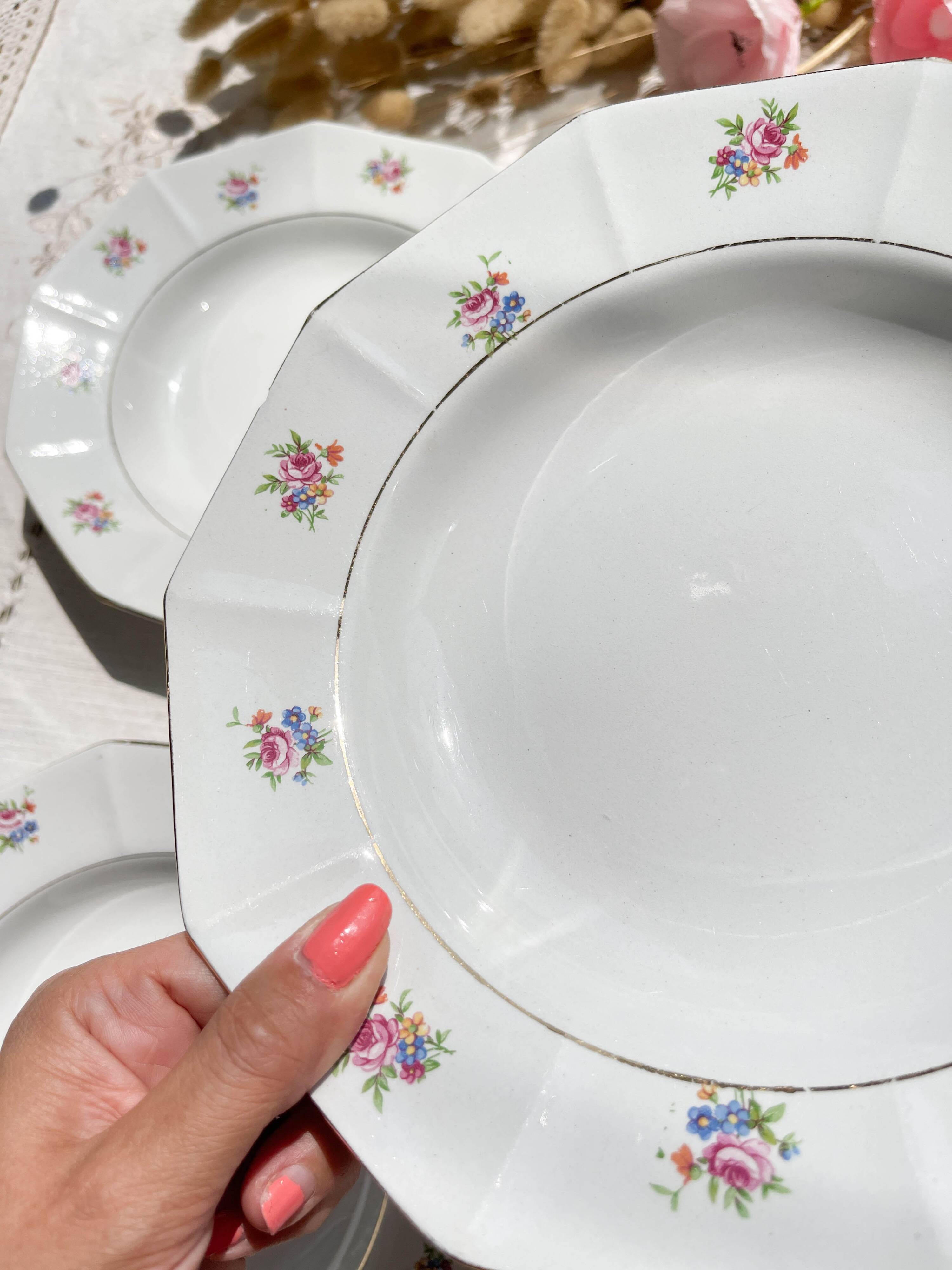5 vintage hollow plates in opaque porcelain SALINS floral pattern