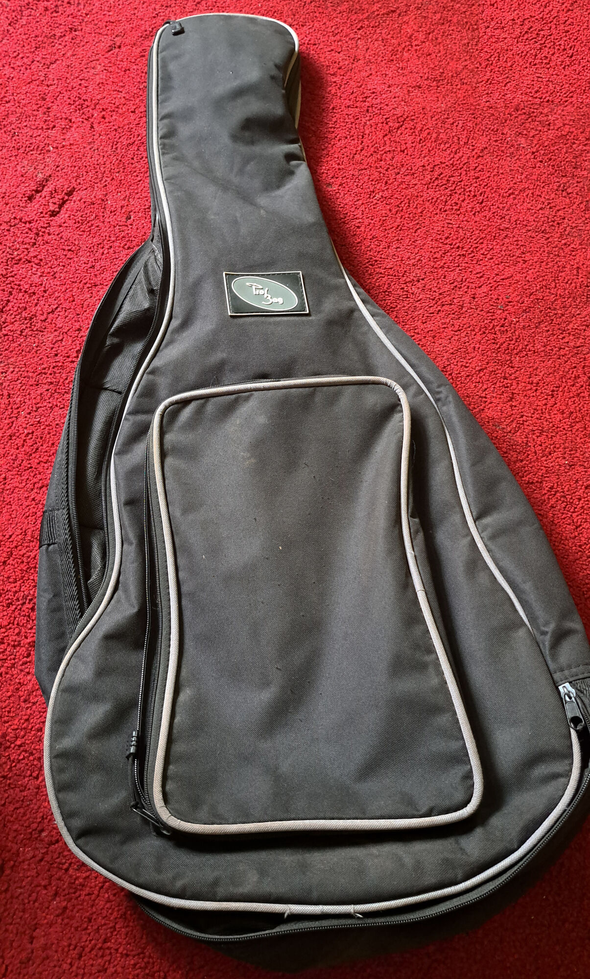 Guitare vintage sicilienne s.groi silvestri 1950s/60s