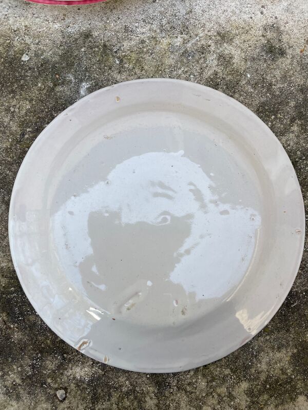 Lot de 6 assiettes anciennes à motif floral