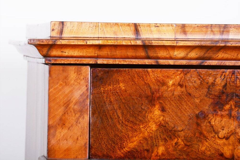 Biedermeier Display Bookcase, Walnut, Czech, 1830s