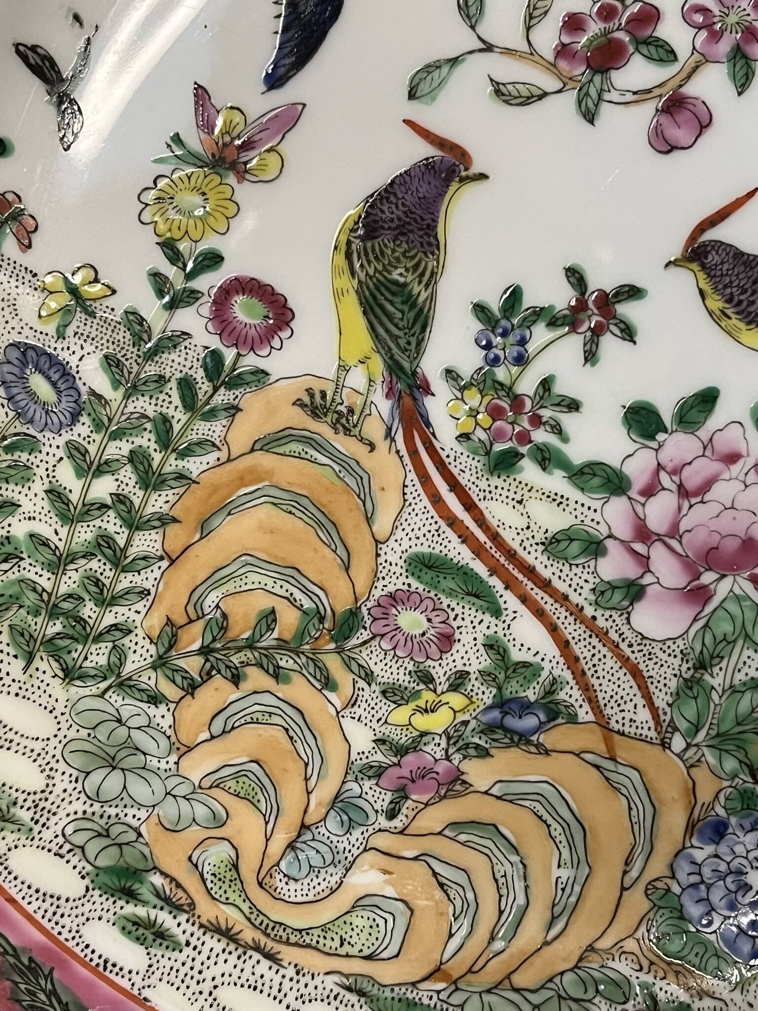 China, polychrome porcelain plate bird of paradise 20th century