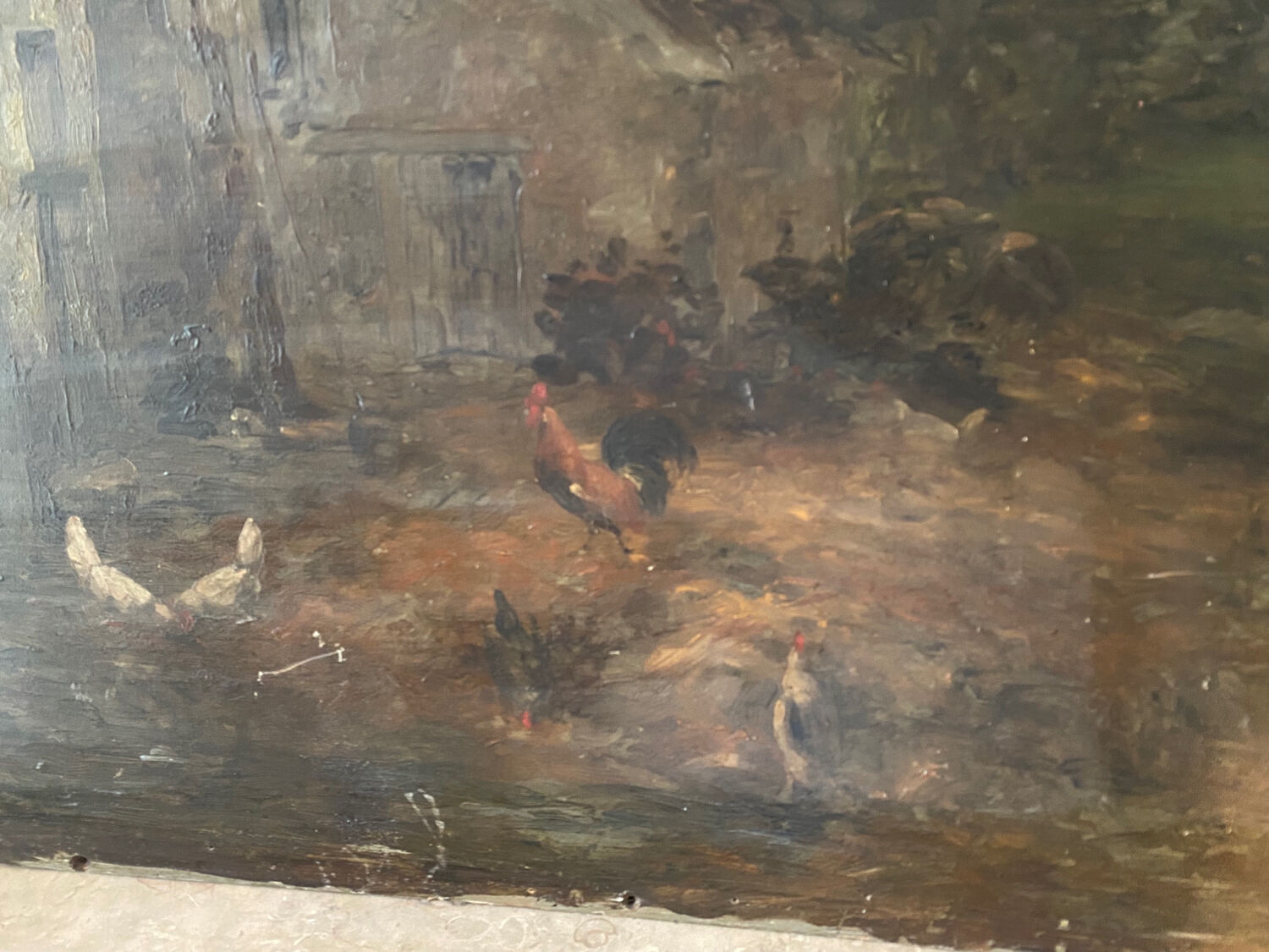 Still life and 19th century school chickens