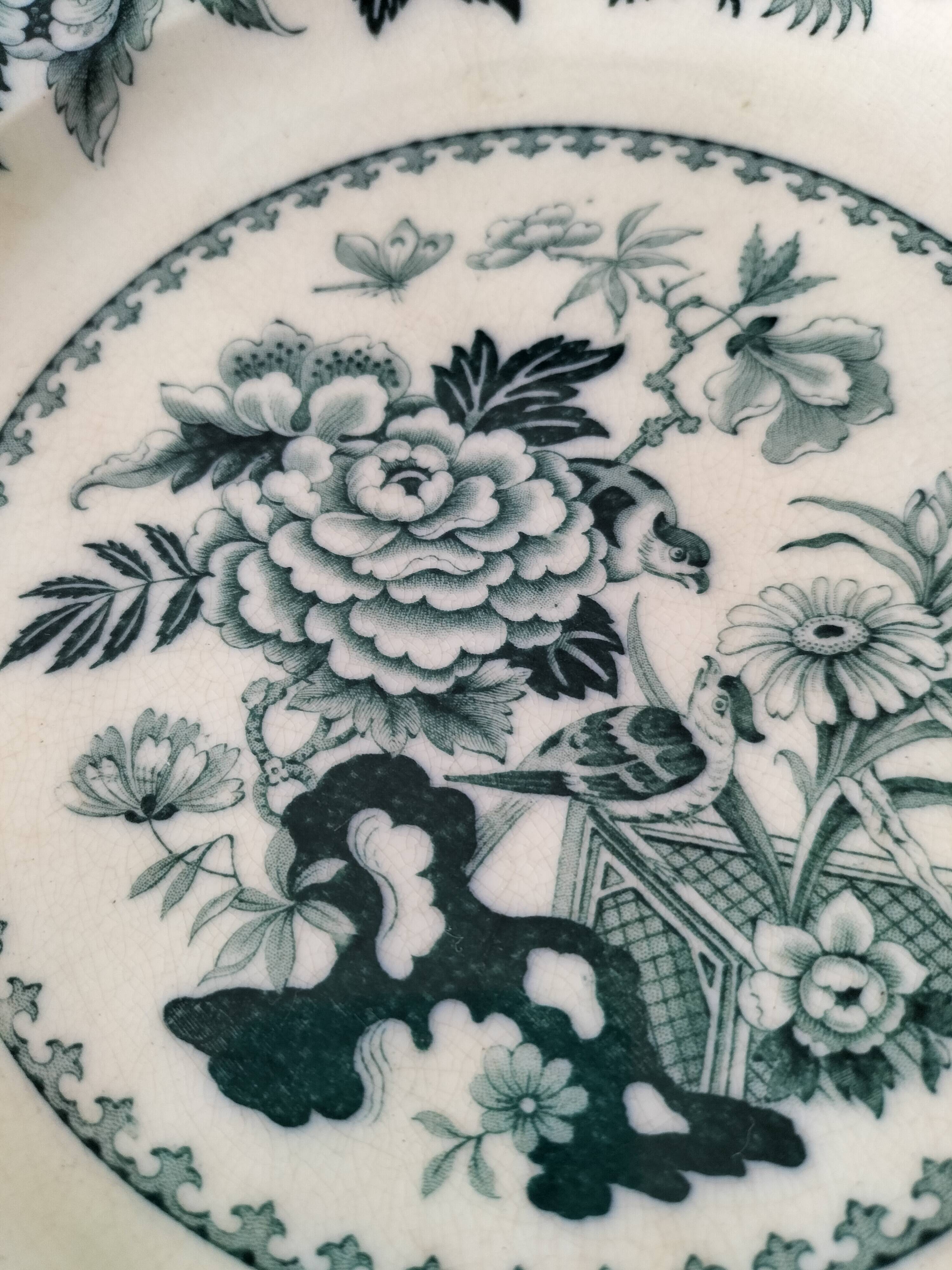 Vintage Wedgwood Bullfinch Plates