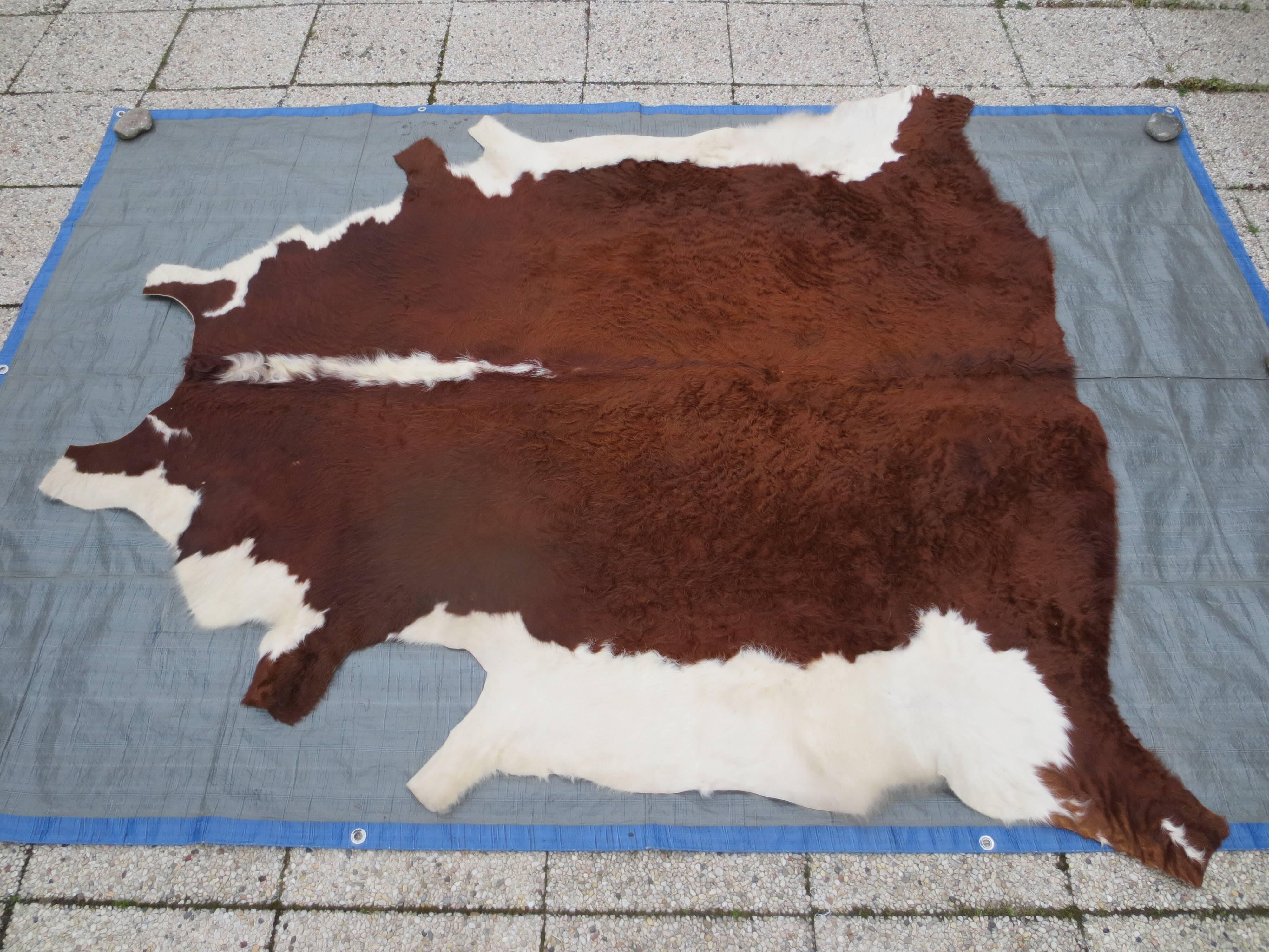 Cowhide color auburn and white 200x200cm