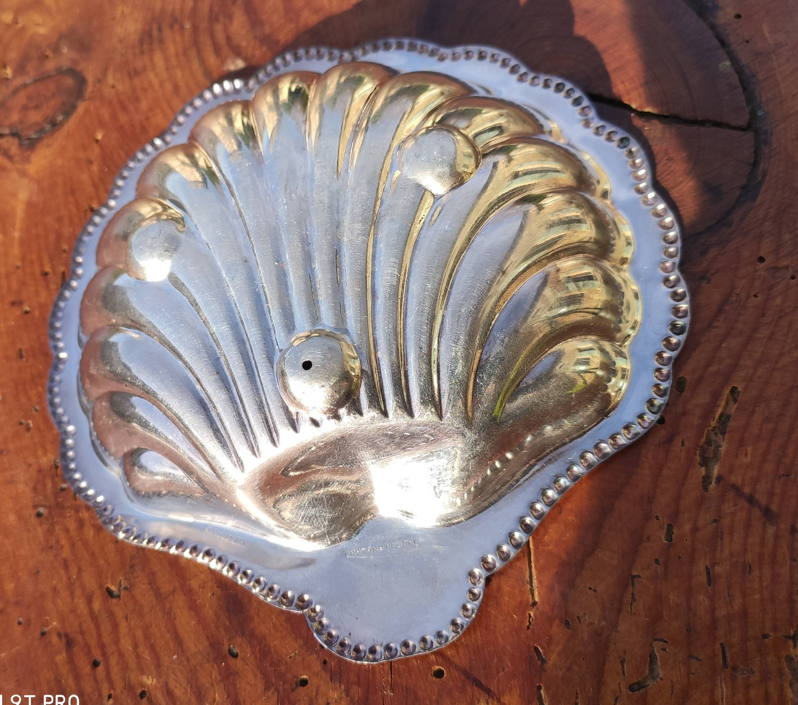 Old shell butter dish