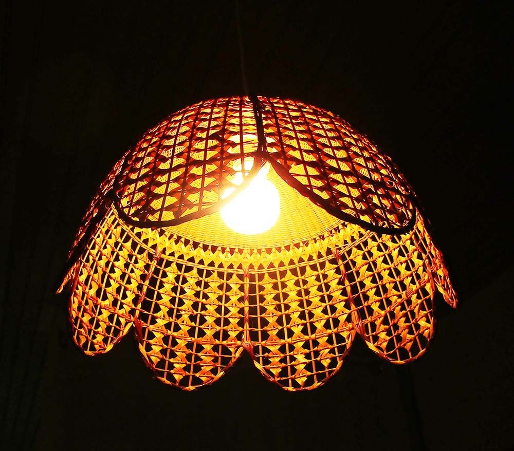 Tulip hanging in rattan