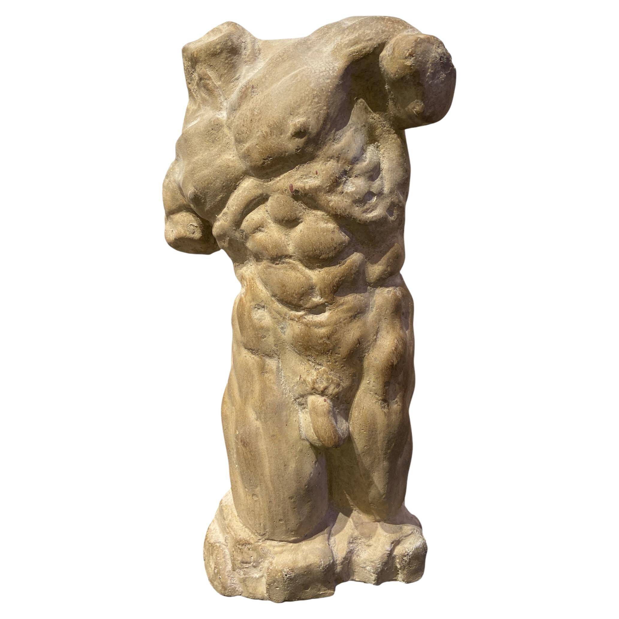Roman torso in stone anatomical model ecorche