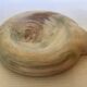Pocket tray mixed earths