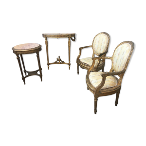 Salon louis xvi