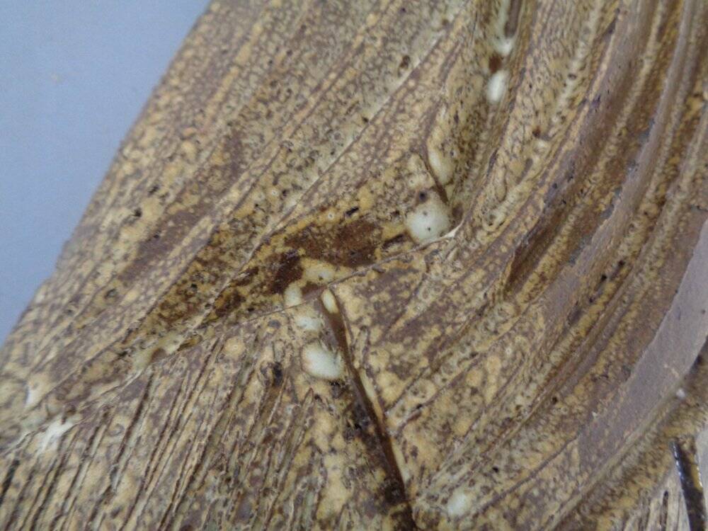 Large Brutalist Ceramic Umbrella Stand, Italy, 1960s