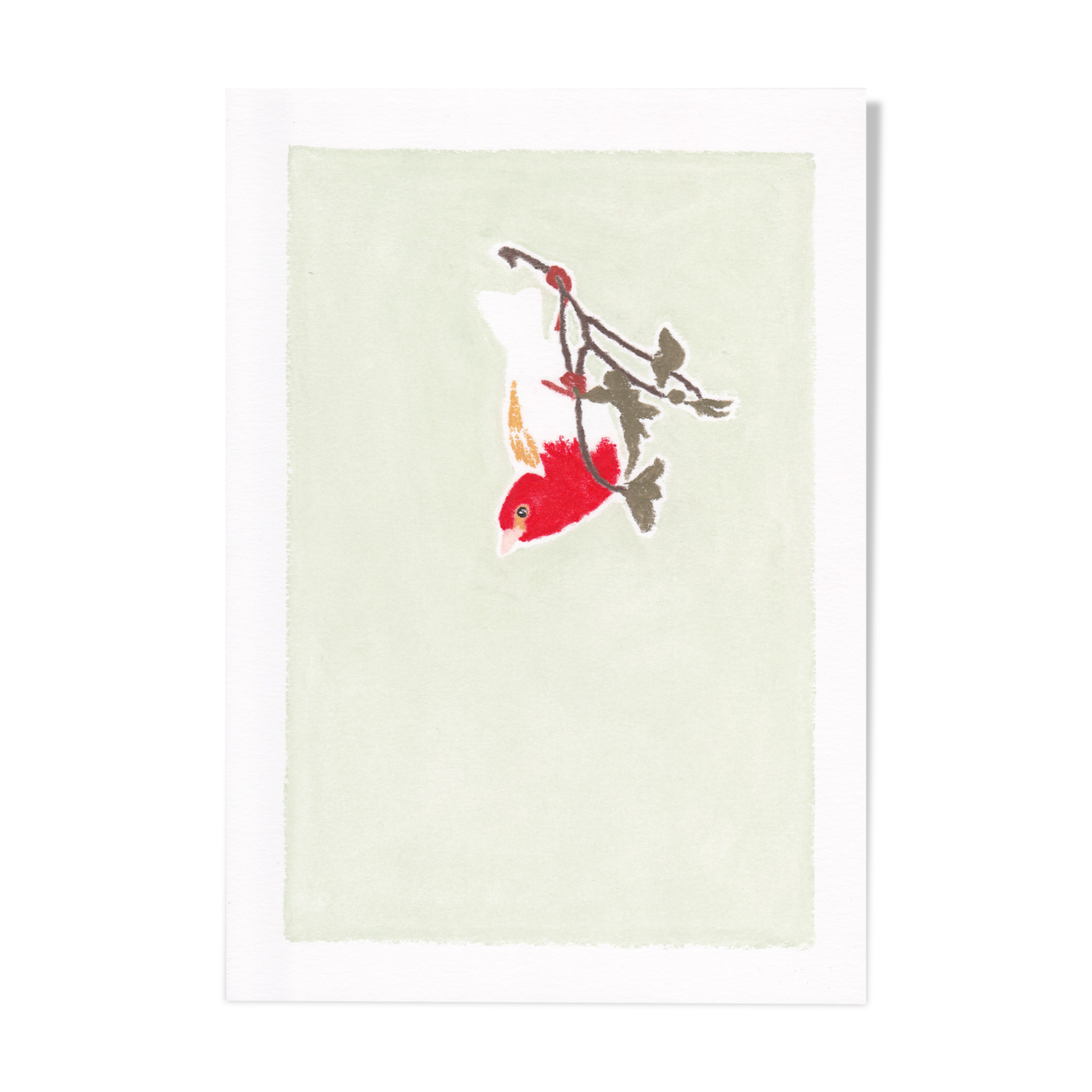 Bird "Scarlet Weaver" - Original Drawing