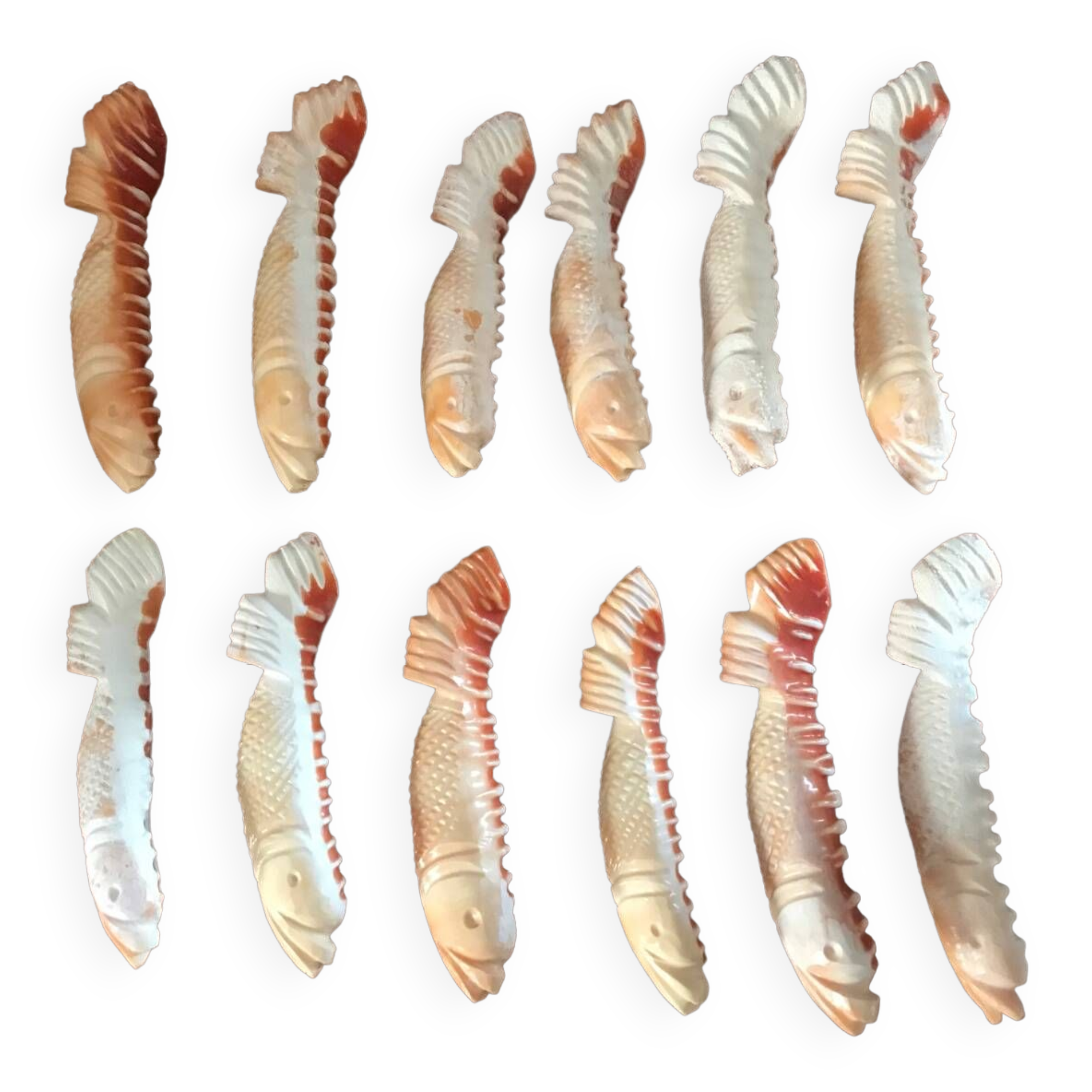 Series of 12 shell knife holders