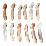 Series of 12 shell knife holders