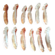 Series of 12 shell knife holders
