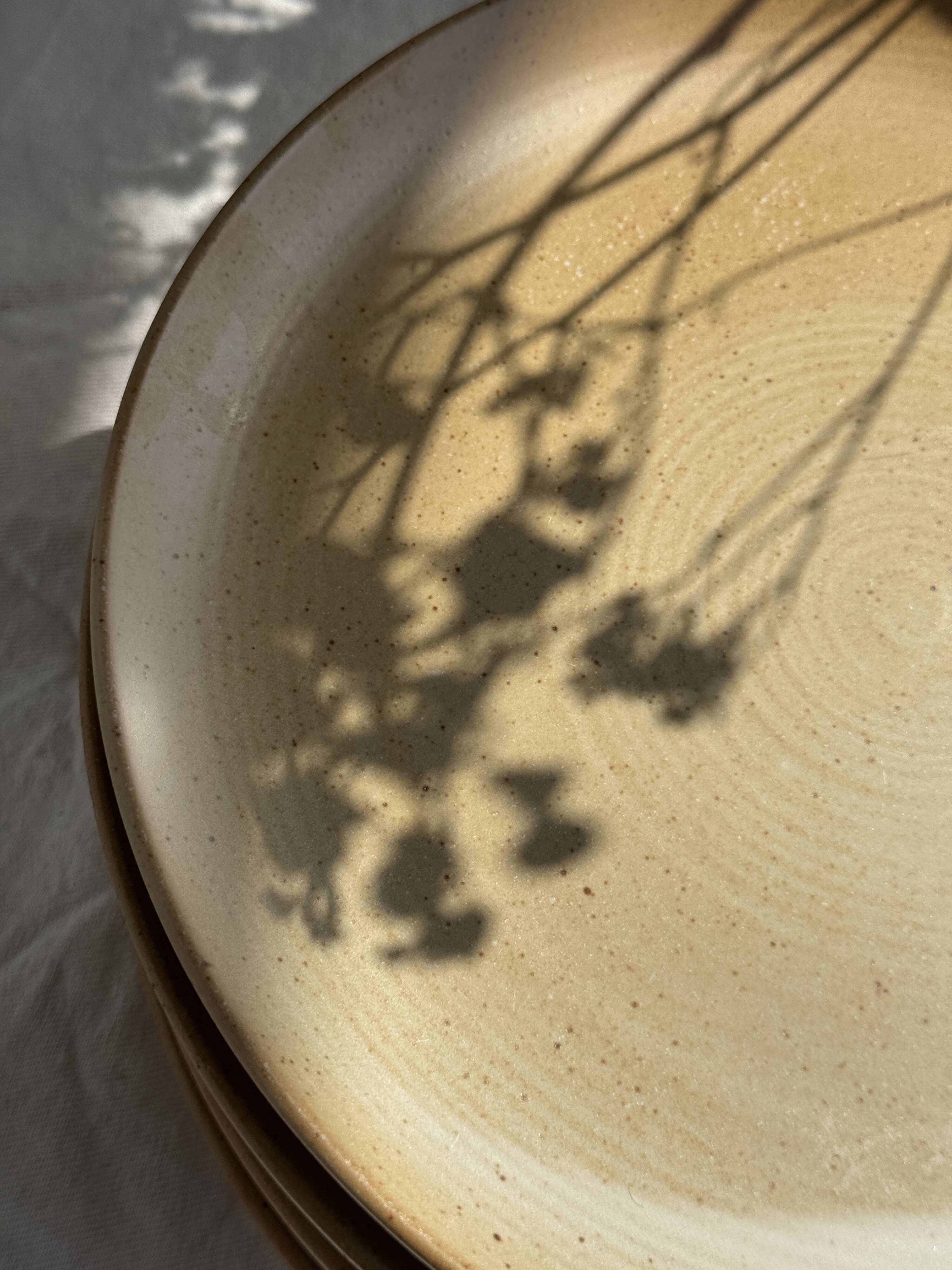 Set of 6 stoneware plates Village France D24