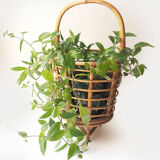 Rattan worker