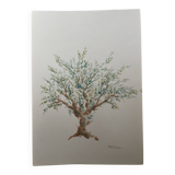 Painting signed watercolor Provençal landscape “the olive tree”