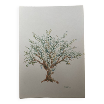 Painting signed watercolor Provençal landscape “the olive tree”