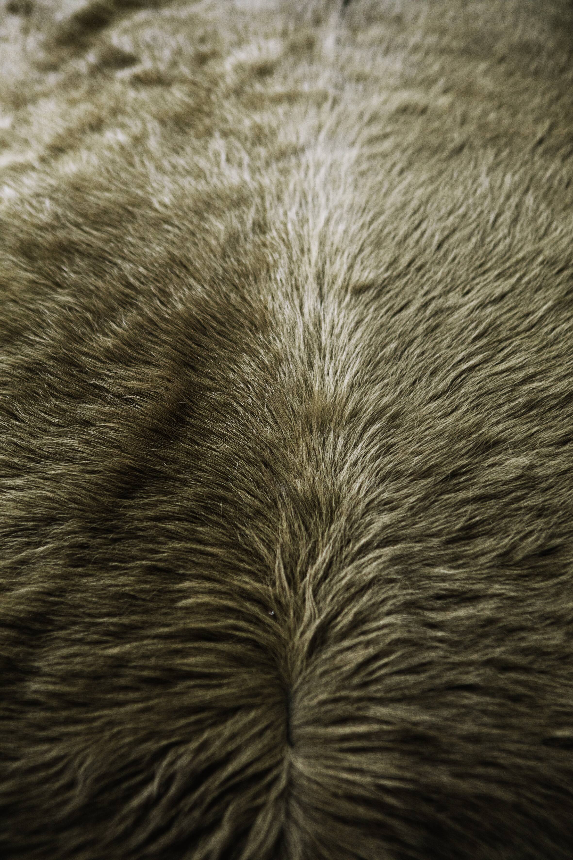 Original Daybed PJ-L-12-A by Pierre Jeanneret for Chandigarh Project, 1950s