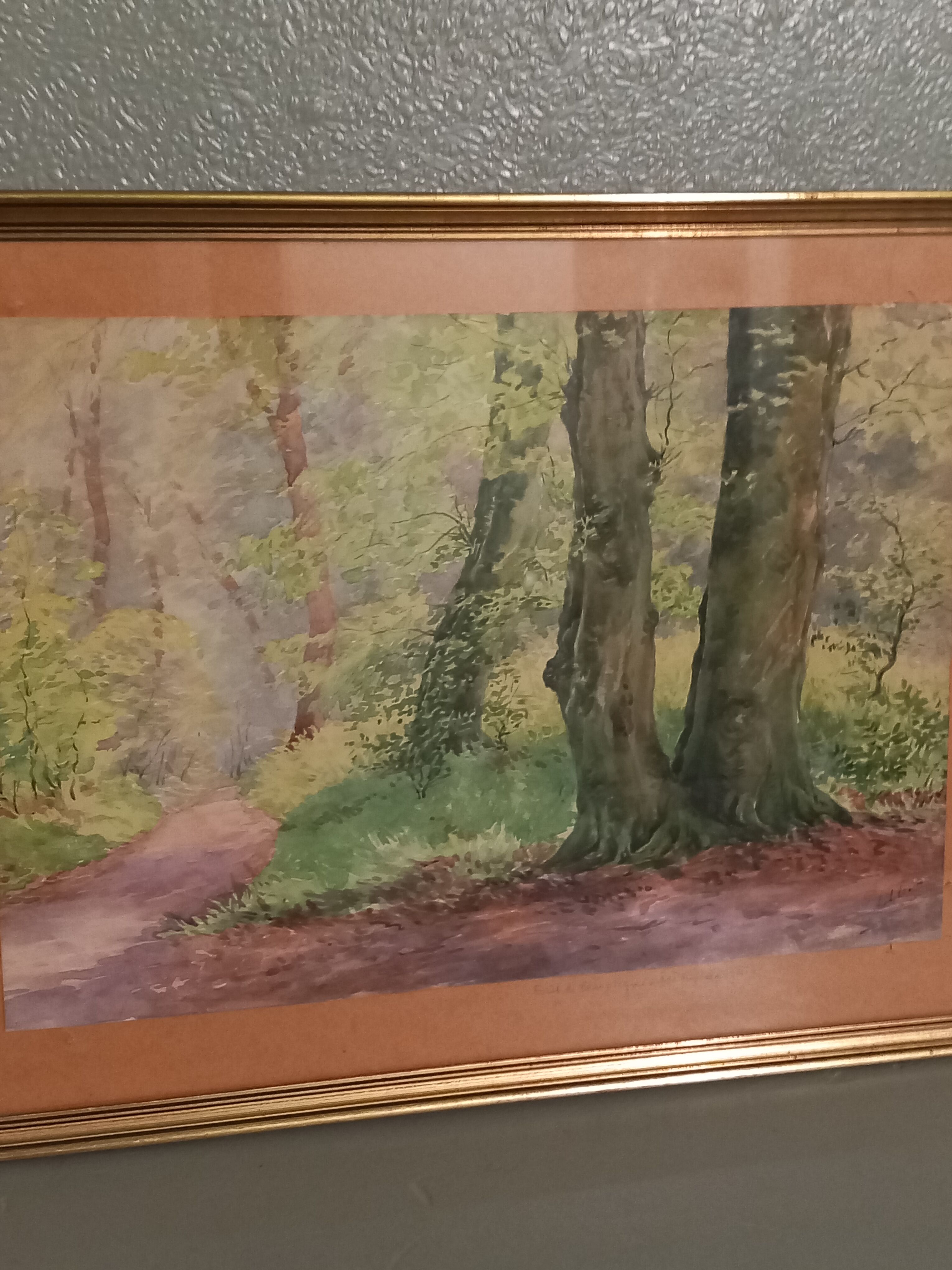 Old table-forest landscape