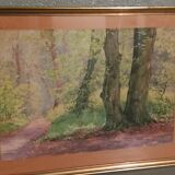 Old table-forest landscape