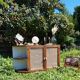 Meuble vintage canné
