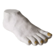 Woman's foot in plaster