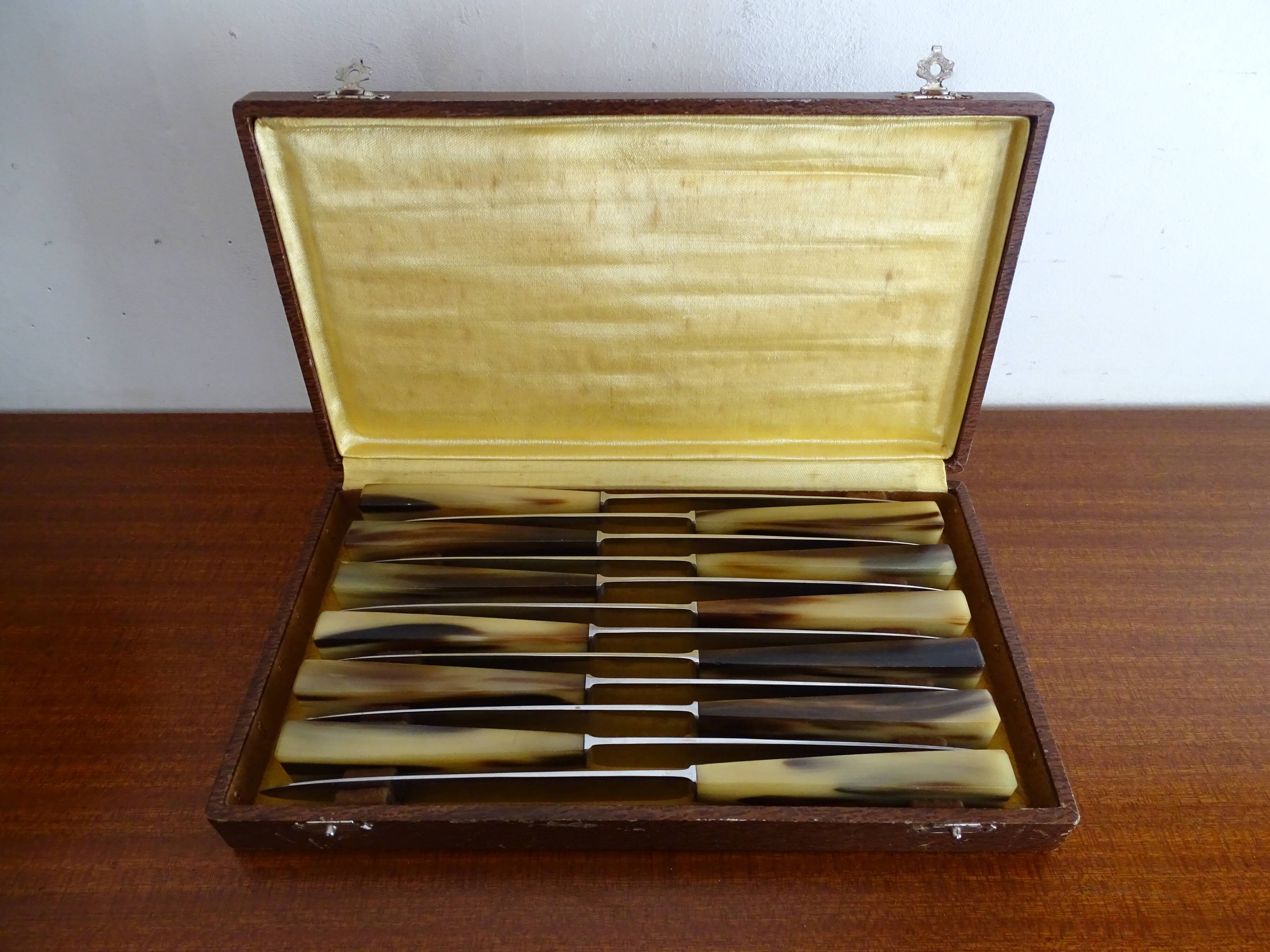 12 old Art Deco horn and stainless steel knives in case