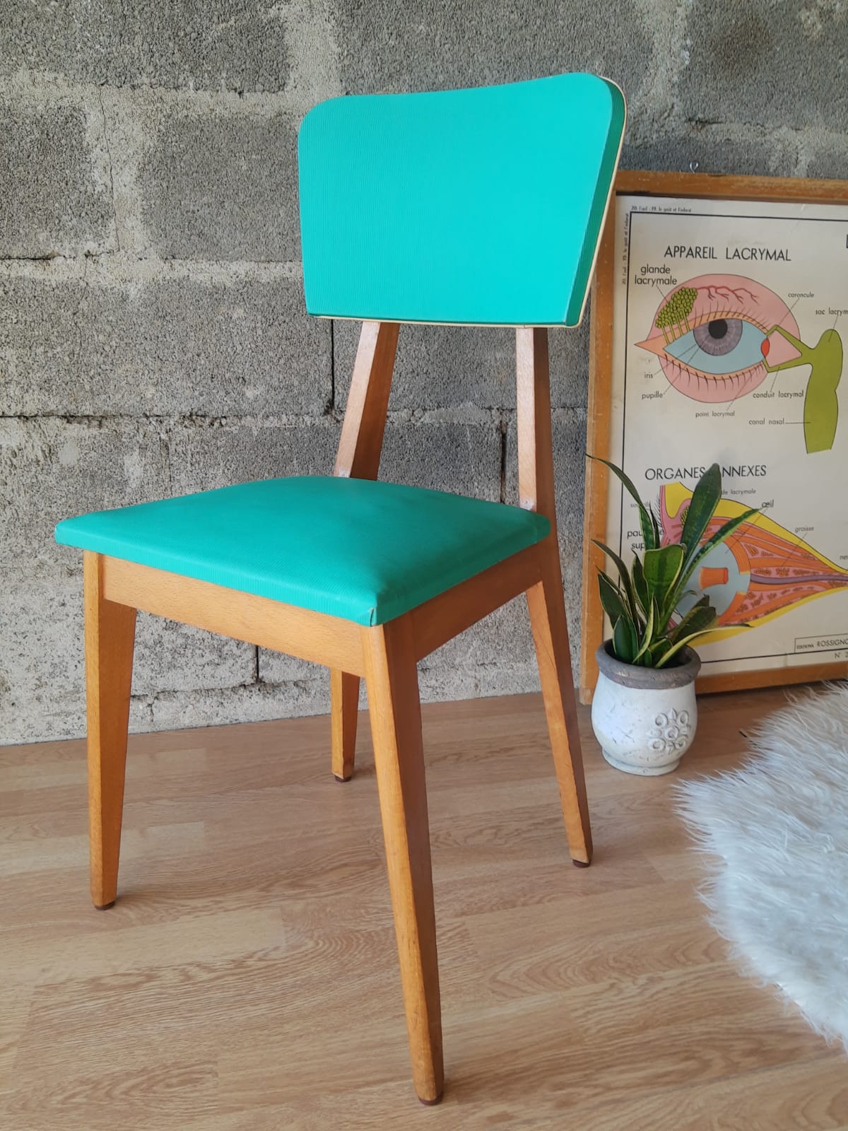 Beech chair compass feet 50s- 60s vinyl - vintage