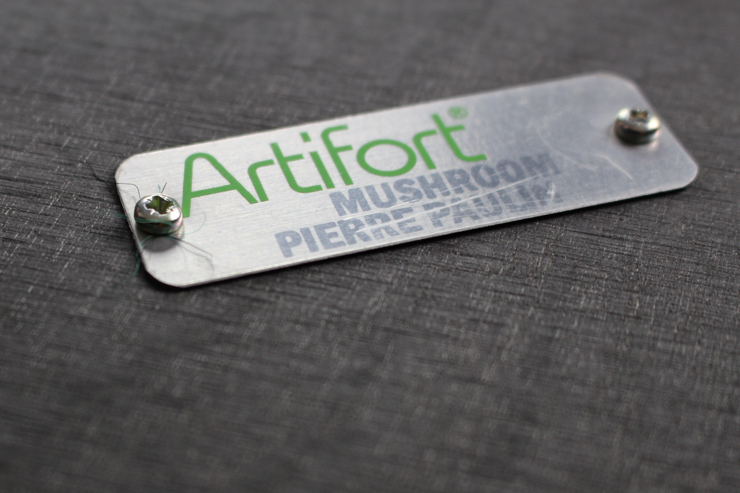 Artifort Mushroom armchair F 560 by Pierre Paulin