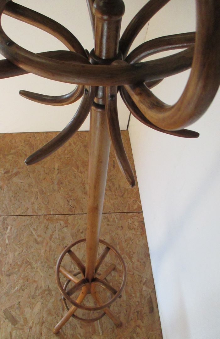 Fishel bistro parrot