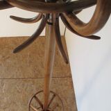 Fishel bistro parrot