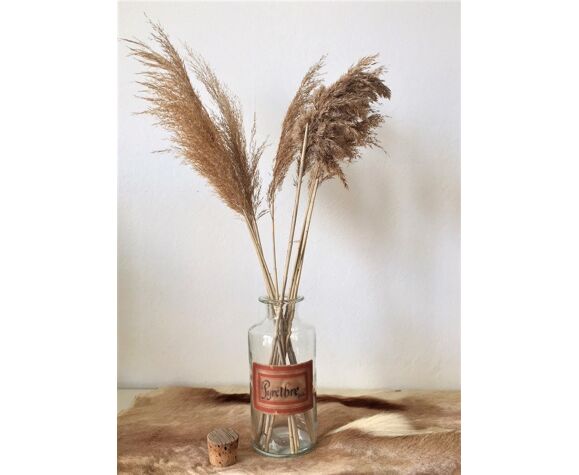 Apothecary Flask Old Pyretbre Selency Apothecary Flask Old Pyretbre Selency