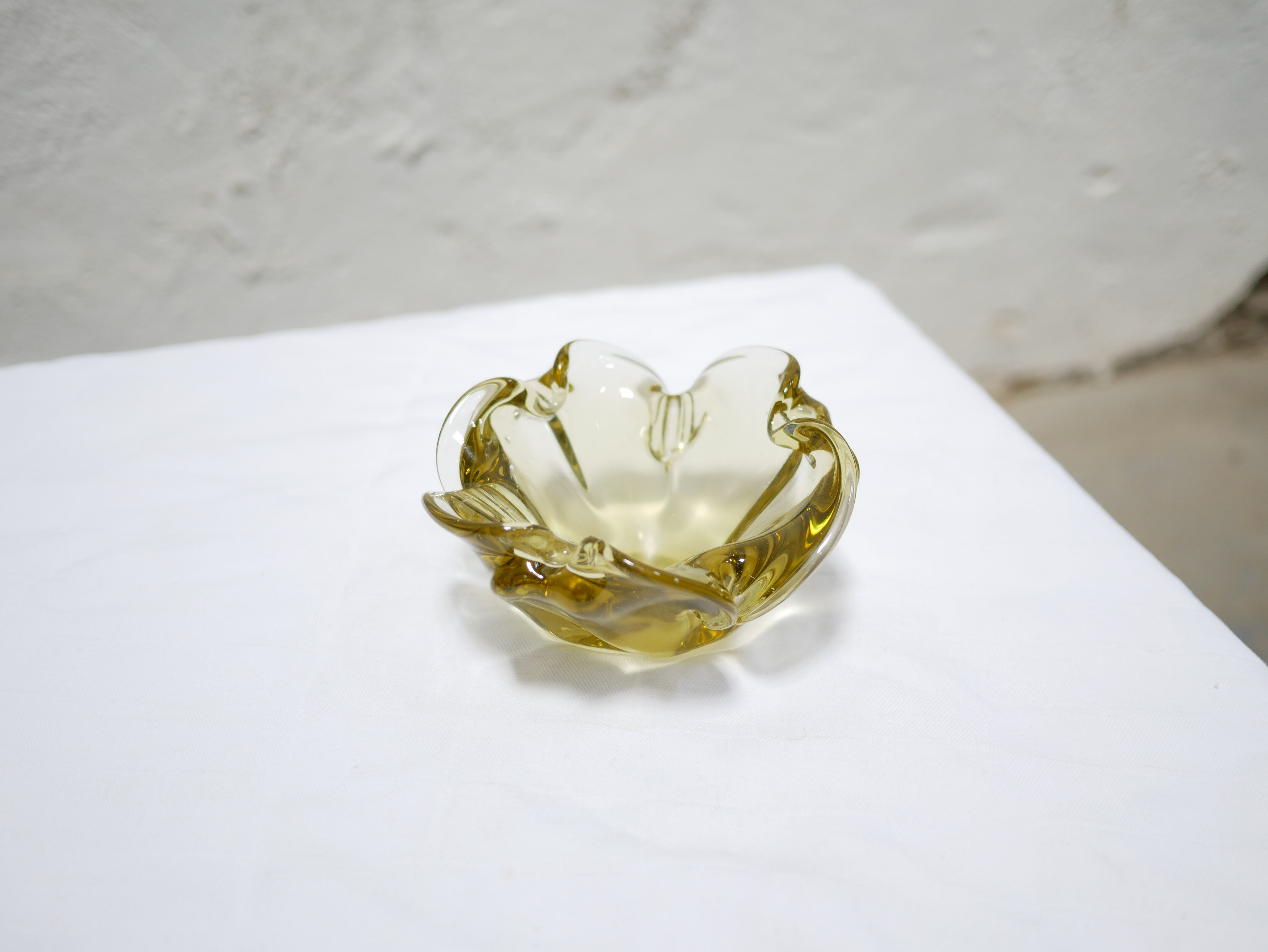 Empty vintage Murano glass pocket