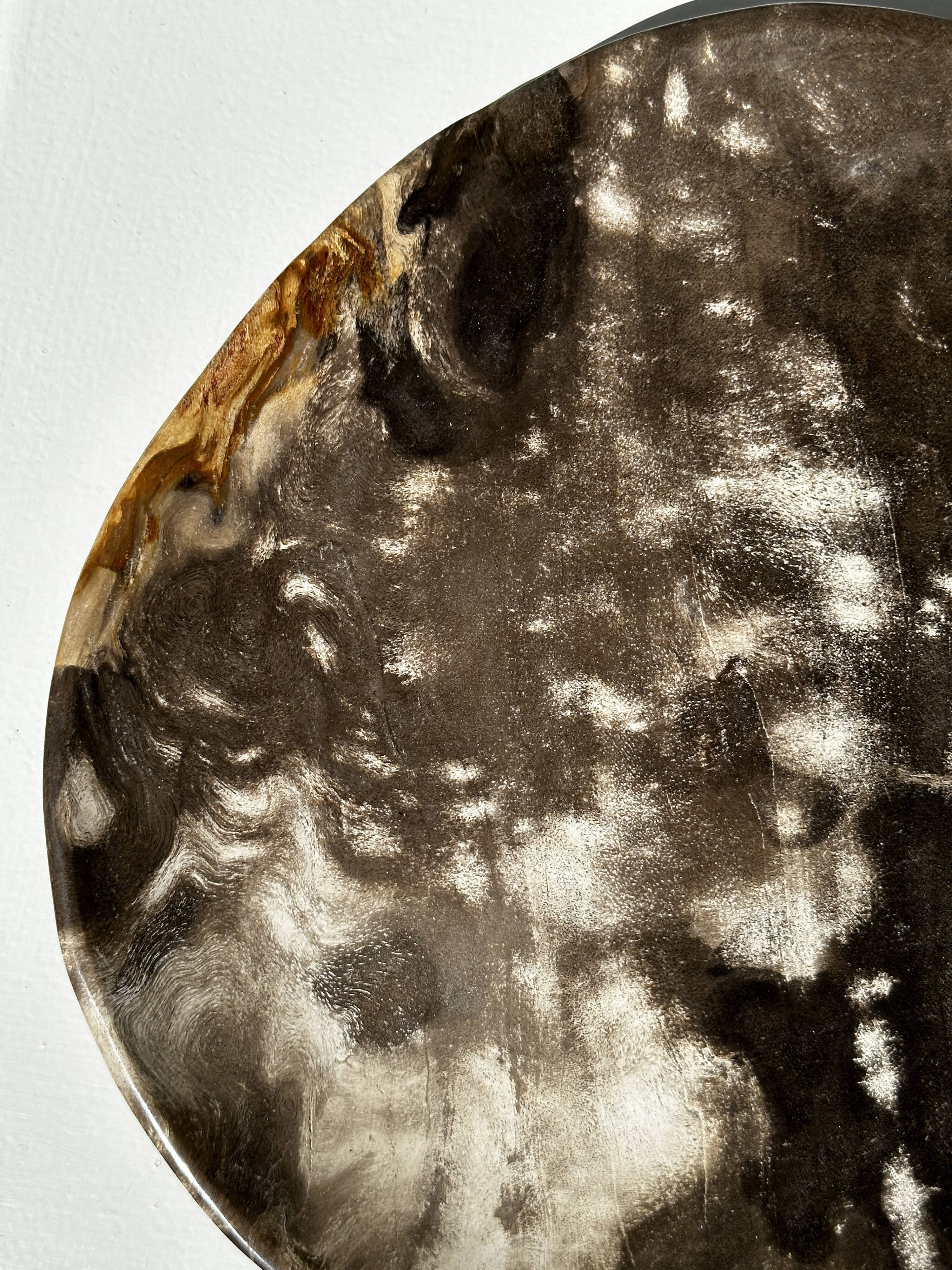 Dish in petrified wood