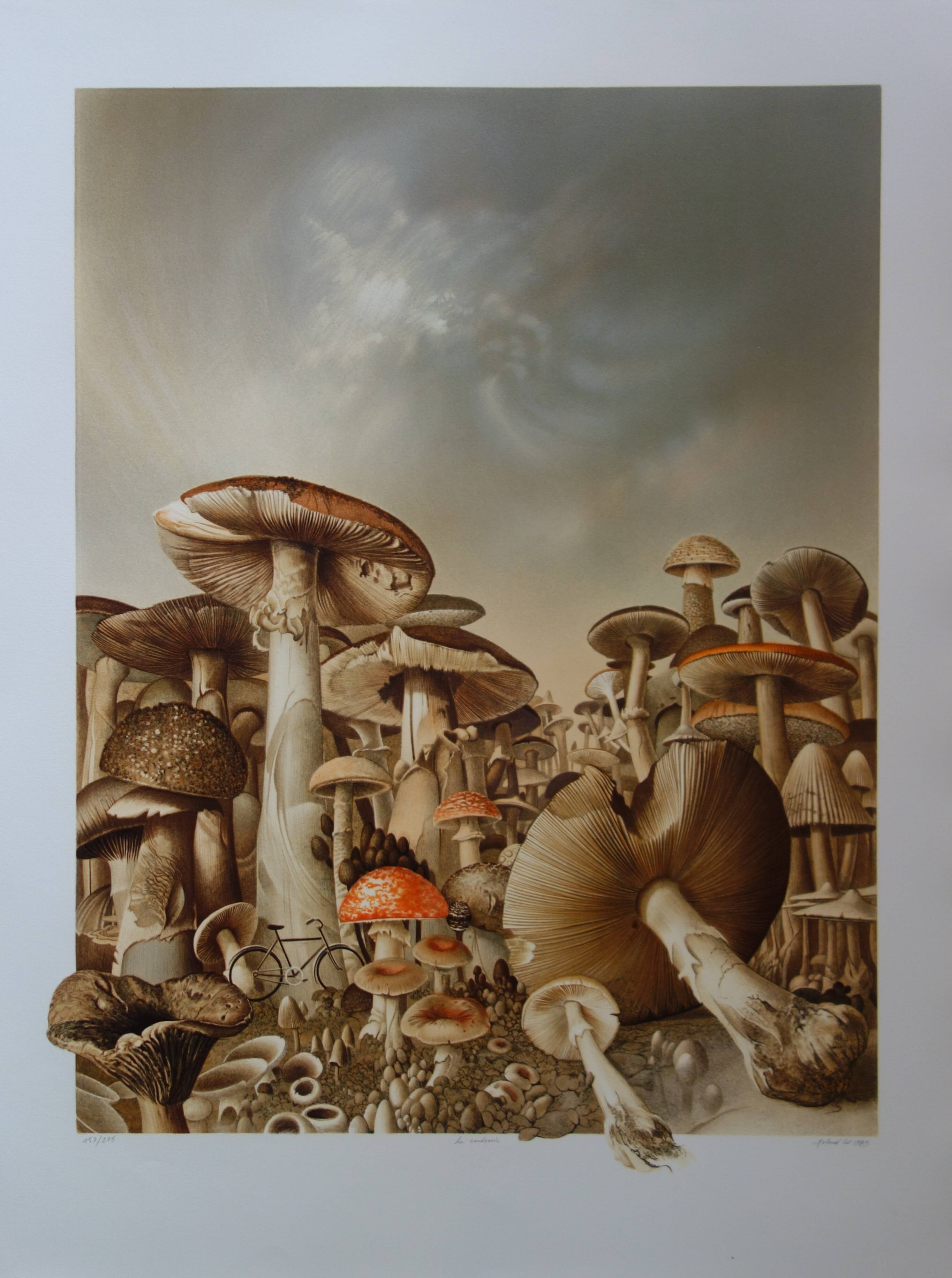 Roland CAT: Bicycle and Mushrooms, original signed lithograph