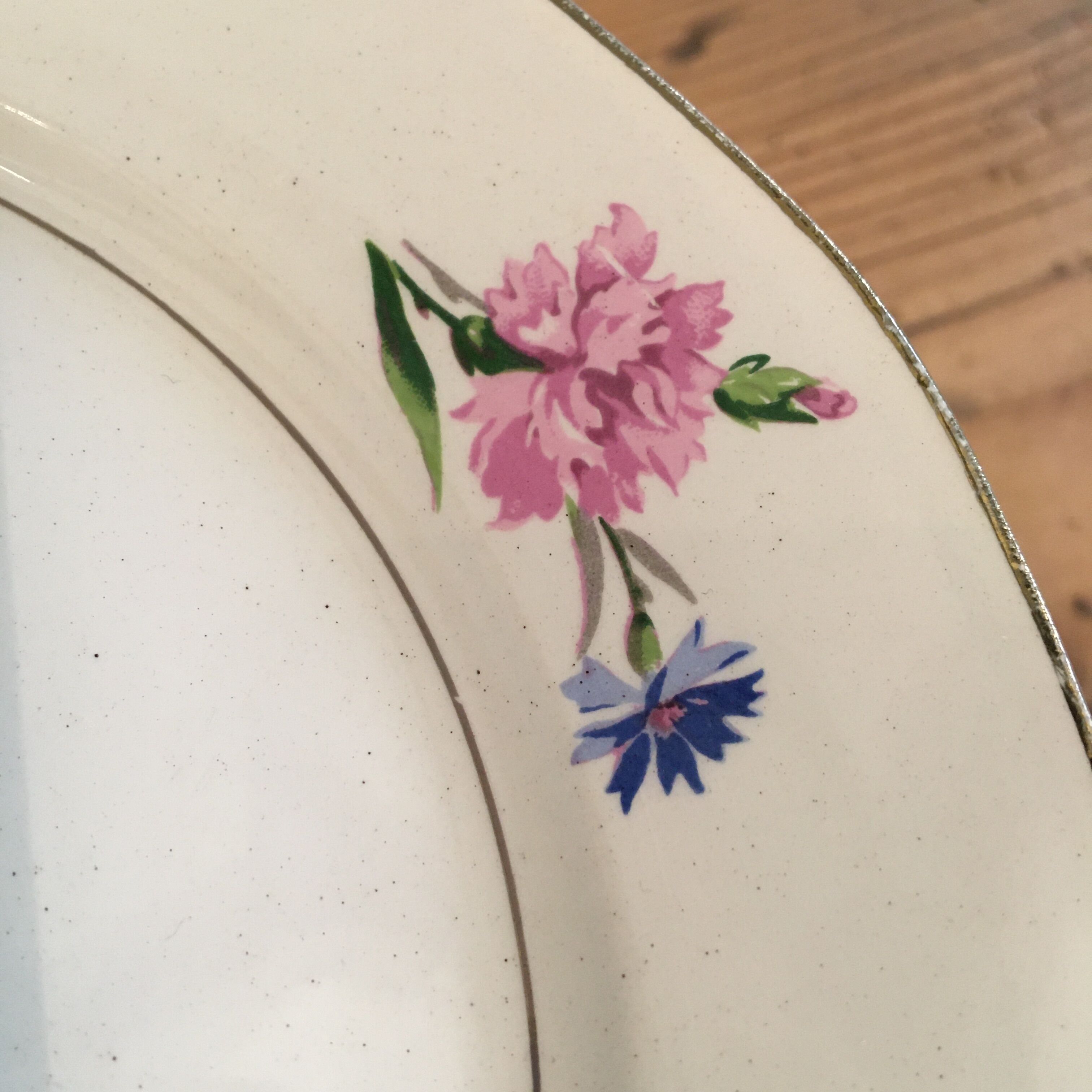 Set of 12 dessert plates carnations digoin sarreguemines