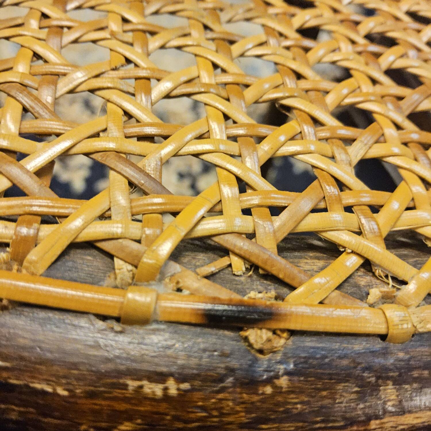 Chaise viennoise antique Art Nouveau de Jakob et Josef Kohn (Thonet)