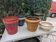 Set of 5 ceramic flower pots