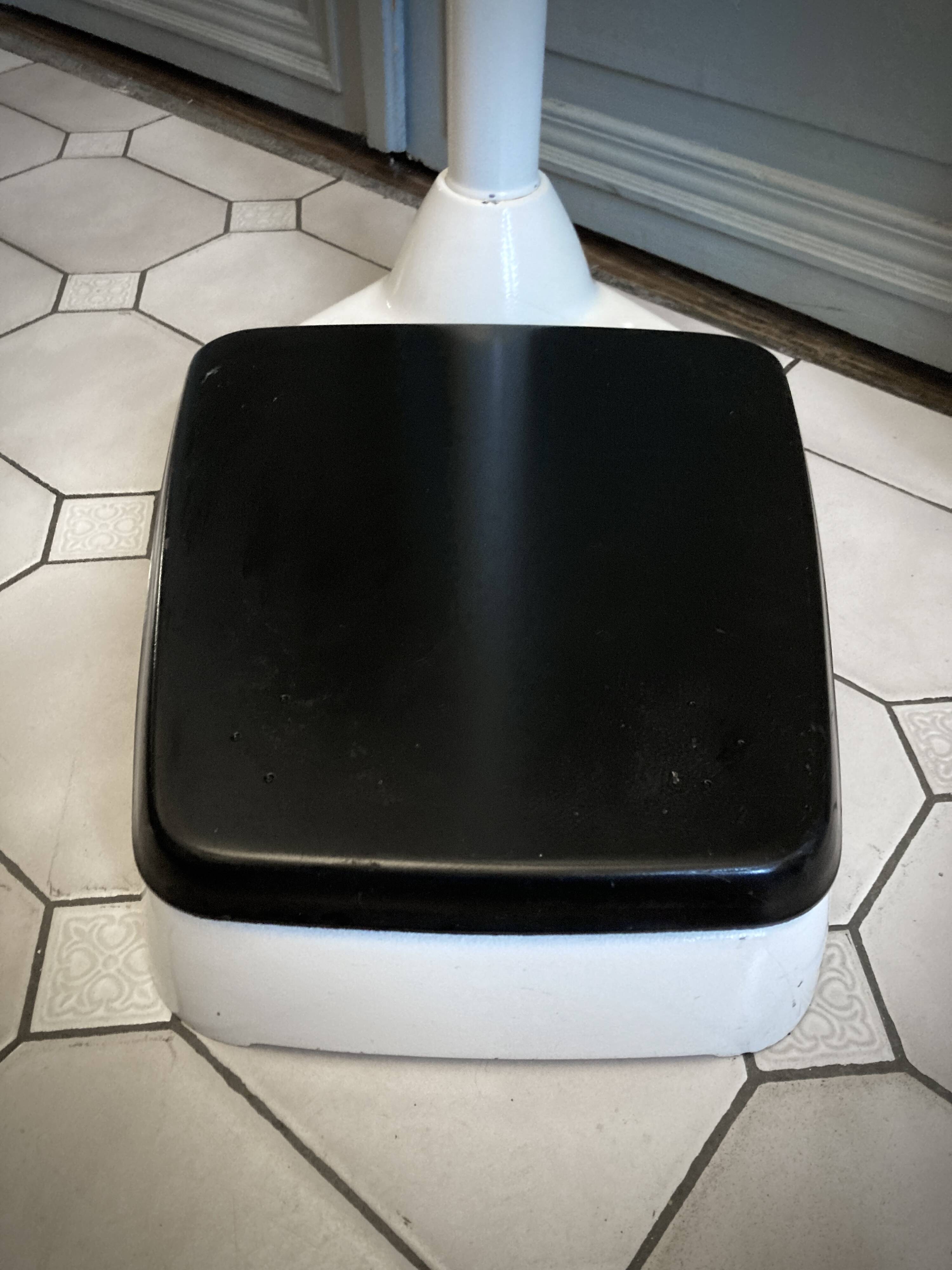 Personal scale and medicine measuring rod