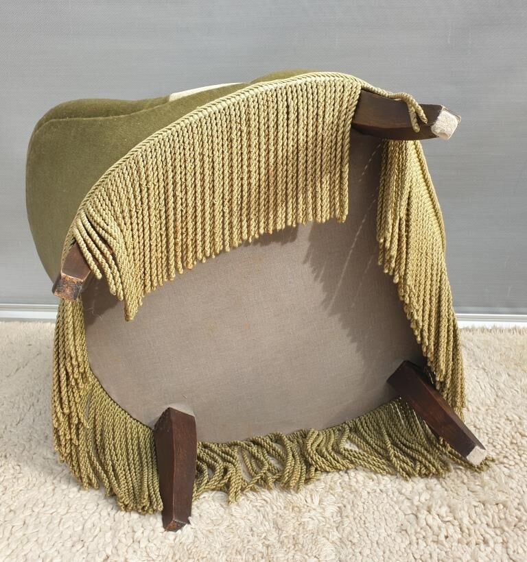 Driver toad velvet iridescent green chamarrée of fringes