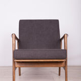 Model 300-139 Armchair from Swarzędzka Factory, 1960s