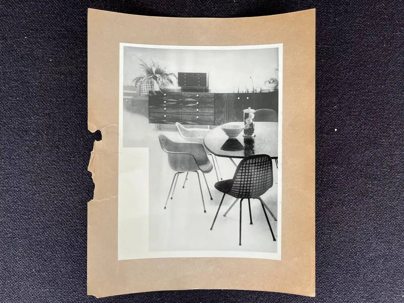 Original photo of furniture / dining chairs by Herman Miller, 1953